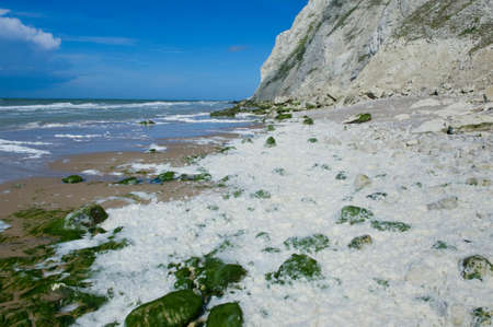 he cliffs of Cap Blanc-nezの写真素材