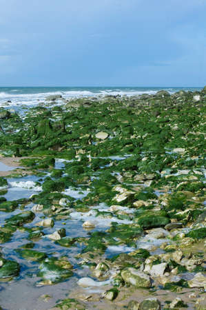 the beach of Cap Blanc-nezの写真素材