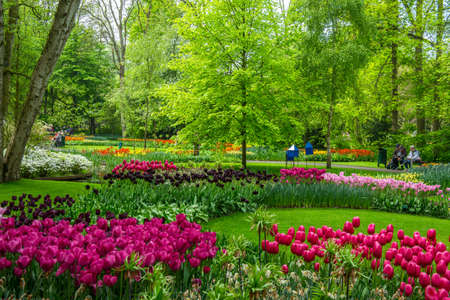 in the park