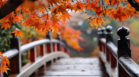 A serene Japanese garden scene featuring a wooden bridge framed by vibrant orange maple leaves in autumn. Soft, diffused light creates a tranquil, picturesque atmosphere.の素材