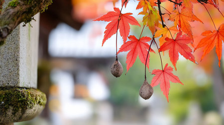 Close-up of red and orange Japanese maple leaves hanging with stone lantern in soft focus. Autumnal colors and textures create a serene, natural scene.の素材