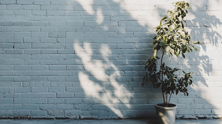 A potted plant stands against a pale blue painted brick wall, its leaves casting intricate shadows. The scene is bathed in soft, natural light, creating a peaceful and minimalist aesthetic.の素材