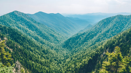 A breathtaking view of a mountain valley filled with lush green trees, creating a dense forest. Distant mountain ridges fade into a hazy blue, adding depth to the landscape.の素材