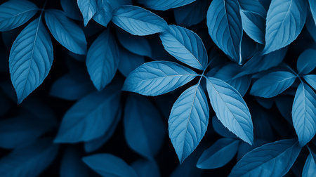 A striking close-up showcases indigo-toned leaves with intricate vein patterns against a dark, blurred background. The image evokes a sense of calm and mystery.の素材