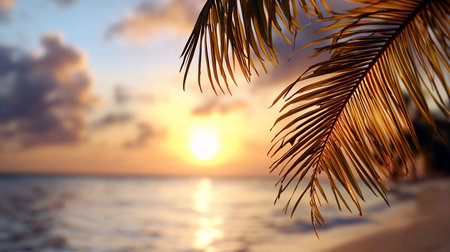 An idyllic tropical sunset paints the sky with warm hues of orange and gold, reflecting on the calm ocean. Backlit palm fronds frame this serene, vacation-like scene.の素材