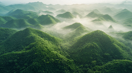 An expansive aerial view of countless rolling green mountains completely covered in a dense, textured forest. Wisps of white mist and fog settle in the valleys between the peaks.の素材