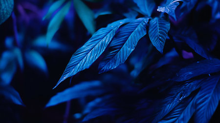Close-up of blue leaves with prominent veins, showcasing a textured surface and deep, rich color.の素材