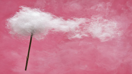 A fluffy white cotton candy cloud is attached to a brown stick, creating a whimsical and dreamy visual. The cotton candy has a soft, airy texture.の素材