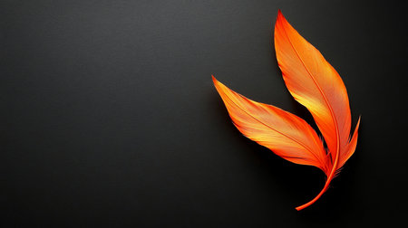Two striking orange feathers with intricate barbs and a smooth quill are artfully arranged on a textured dark background.の素材