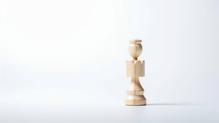A single, light-colored wooden chess piece, resembling a rook with a crown-like top, stands isolated against a bright white background.の素材
