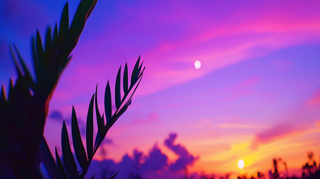 Dark green palm fronds silhouetted against a vibrant sunset sky, featuring a gradient of purple, pink, and orange hues. The fronds have a distinct, segmented leaf structure.の素材
