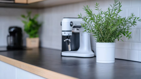 Vibrant green houseplant with delicate, slender leaves, growing densely in a clean, minimalist white cylindrical pot.の素材