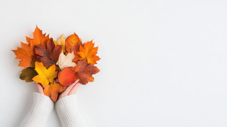 Close-up view of hands gently cradling a colorful assortment of autumn leaves, showcasing the rich hues of fall foliage.の素材