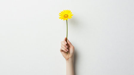 A single hand gently grasps a bright yellow gerbera daisy, showcasing its delicate petals and slender green stem against a clean background.の素材