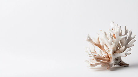 A detailed photograph of a white coral formation against a clean white backdrop, highlighting its intricate structure and texture.の素材