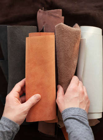 Professional crafter choosing cow leather in roll for making leather items
