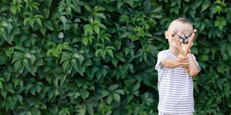 a boy in a T-shirt on the background of a hedge aims a slingshot. banner with space for textの写真素材