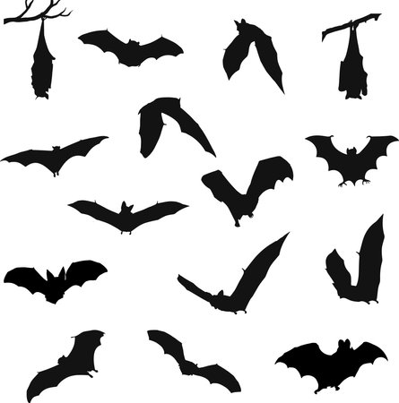 Bat silhouette collection for halloweenのイラスト素材