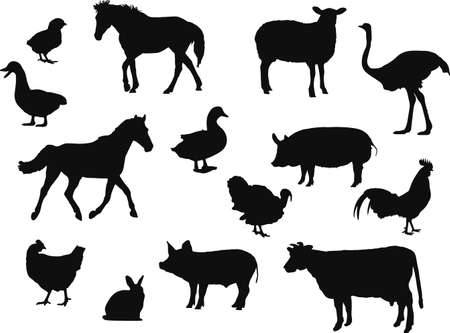Farm animals livestock silhouettesのイラスト素材