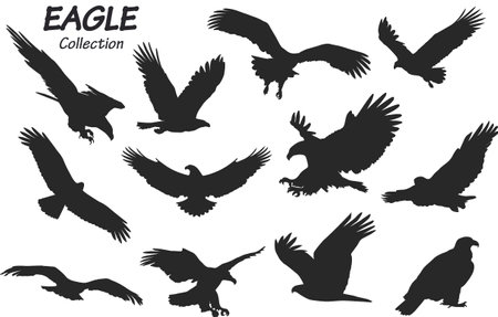 eagle silhouettes setのイラスト素材