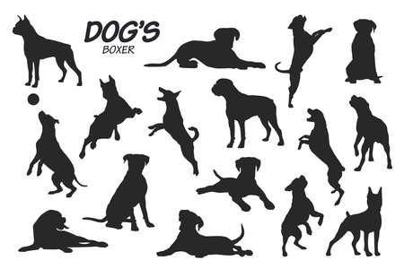 boxer dog silhouettesのイラスト素材