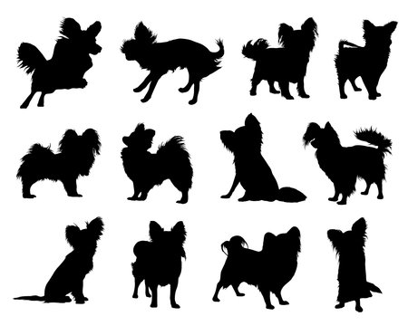 papillon dog silhouetteのイラスト素材