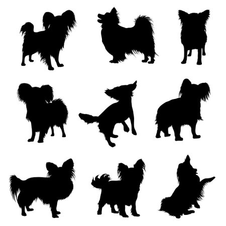 papillon dog animal silhouetteのイラスト素材