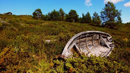 this beauty has long been usedの写真素材