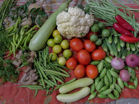 fresh vegetables and herbs, oregano, sage, chive, parsley, dill, onion, cucumber, green vegetables, red vegetablesの写真素材