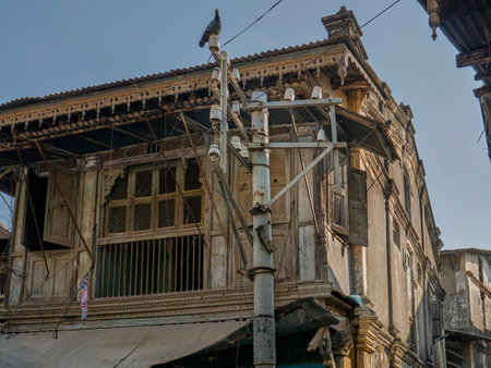07 Mar 2019 Pigeon sitting on the Vintage telephone pole near Old House Idar Old town Sabarkantha Gujarat Indiaのeditorial素材