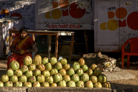 27 Feb 2014 selling hand made stone sculptures and stone statue in street shop, MAHABALIPURAM, TAMIL NADU, INDIA,のeditorial素材