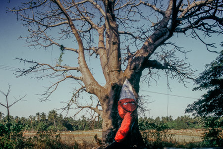 29 Apr 2011  Ganpati painted on tree trunk, near Dahanu Maharashtra india, asiaのeditorial素材