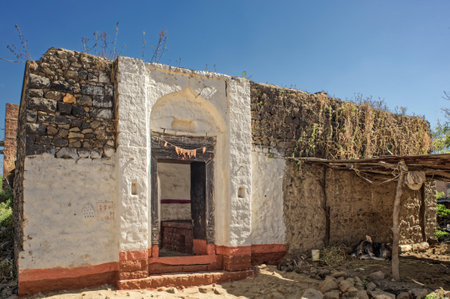 12 22 2010 Car Parking Under Huge Tree at Nanak jhira Gurudwara Bidar Karnataka Indiaのeditorial素材