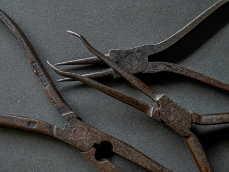 31 Aug 2019 Collection of Vintage Pliers studio shot Kalyan maharashtra Indiaのeditorial素材