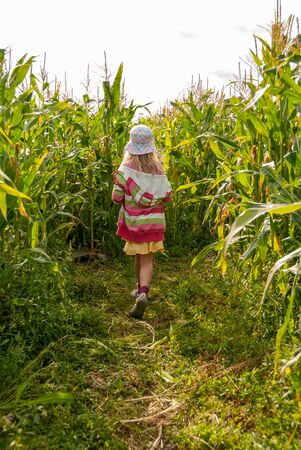 Vibrantly dressed young girl walking through a corn fieldの写真素材