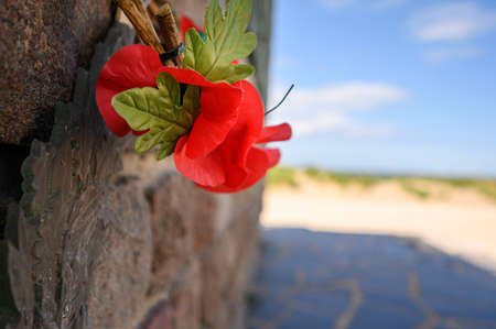 DUNKIRK, FRANCE - AUGUST 13, 2019: Close up of poppies on The Operation Dynamo Memorial to Allied Forces in Dunkirk with out of focus sand dunes in the backgroundのeditorial素材