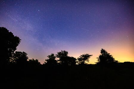Colourful long exposure star filled nightscape with shooting stars and silhouette trees in the foregroundの写真素材