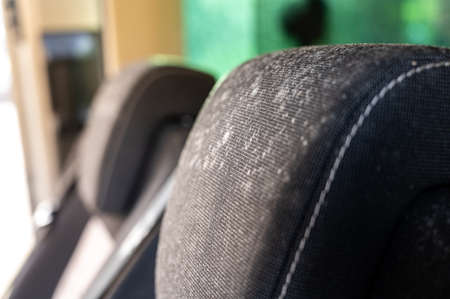 Close up of mold on the head rest of a car seat that has been laid up for several monthsの写真素材