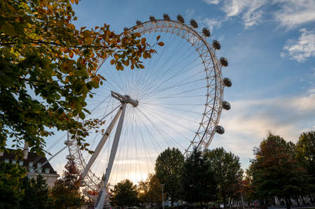 LONDON - NOVEMBER 2, 2021: The London Eye from Jubilee Park and Garden at sunset on an autumn eveningのeditorial素材