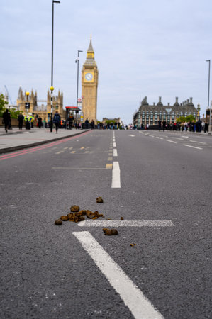 London - September 19, 2022: The Houses of Parliament with horse manure on Westminster Bridge in the...