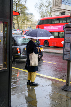 LONDON - April 24, 2023: Embracing a rainy day in London with an umbrella and mobile phone amidst classic black cabs and red double-decker buses.のeditorial素材