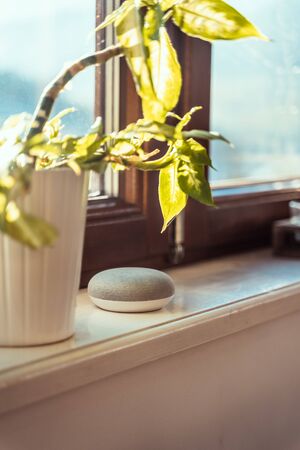 voice controlled smart speaker in a interior home environment. Smart AI speaker conceptの写真素材