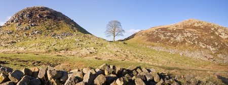 Sycamore Gap panorama on Hadrians Wall のeditorial素材