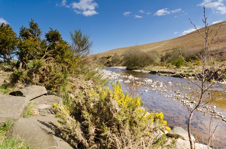Breamish Valley in spring with the River Breamish flowing through Ingram and Breamish Valleys