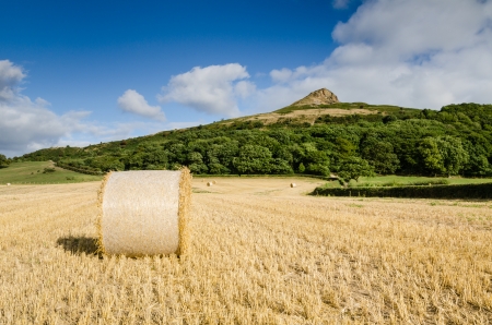 Hay Bale at Roseberry Topping which is an iconic landmark on the border of North Yorkshire an...