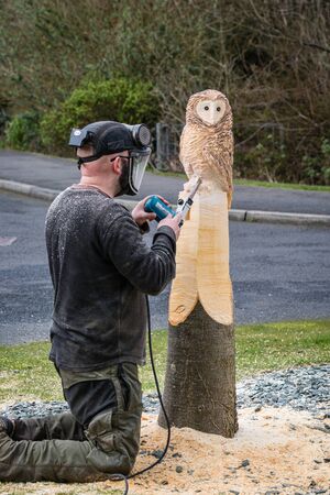 Owl sculptor working / The making of an owl sculpture by a chainsaw sculptor here in the latter...
