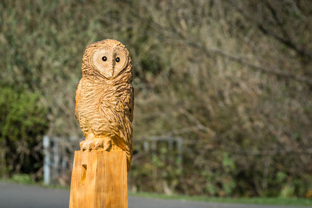 Owl sculpture / The making of an owl sculpture by a chainsaw sculptor here freshly completedの写真素材