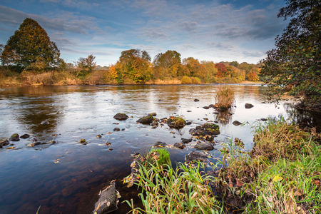 River South Tyne in Autumn,  just above the confluence with the North Tyne, near Warden, Northumberlandの写真素材