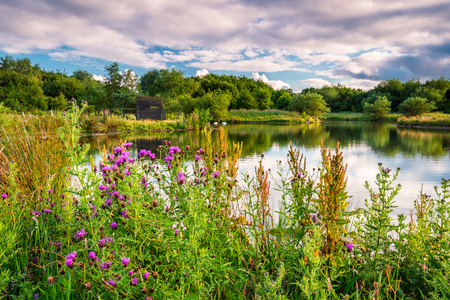 Branton Lakes Bird Hide. Branton Lakes Nature Reserve was constructed from a former mineral quarry, located at Branton in the Breamish Valley, Northumberlandの写真素材