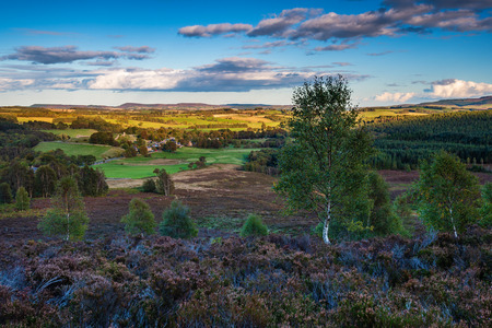 Harbottle Village from the hills, which  lies in Coquetdale inside the Northumberland National Park, within the Cheviot Hillsの写真素材